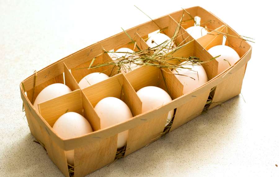 які яйця купувати - білі чи коричневі7