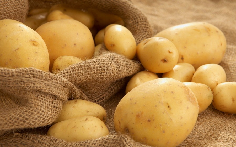 молода картопля