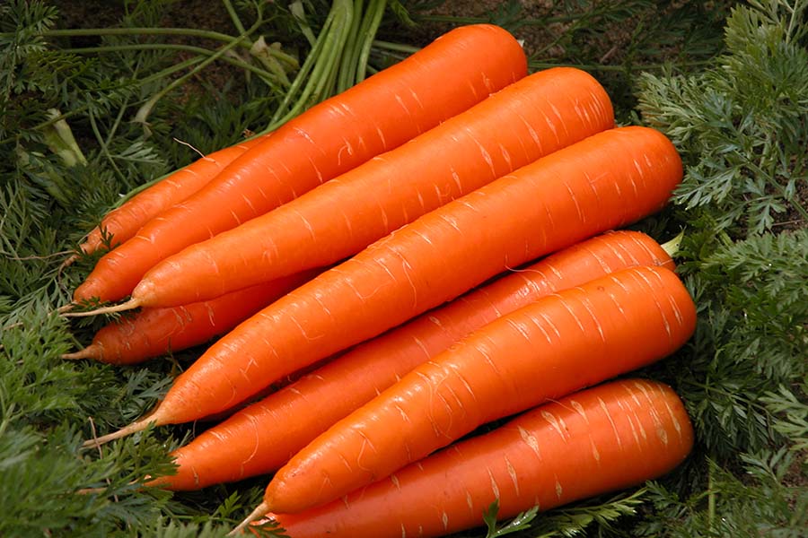 корисна морквинка