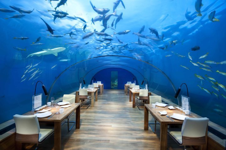 Ithaa – перший підводний ресторан у світі