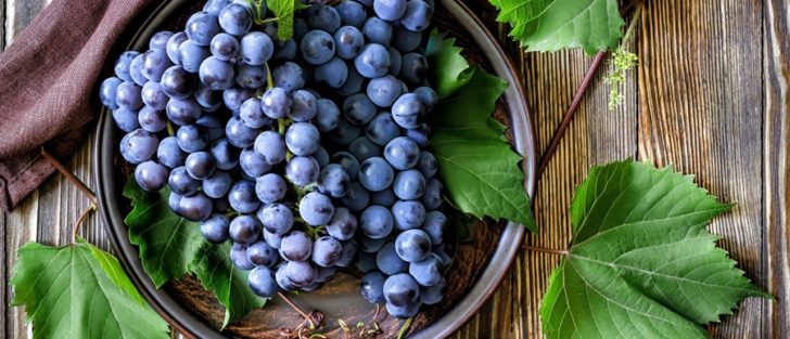 Вітаміни у гронах: усе, що варто знати про виноград