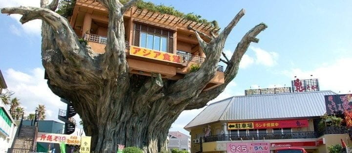 Gajumaru – ресторан, або кафе на дереві